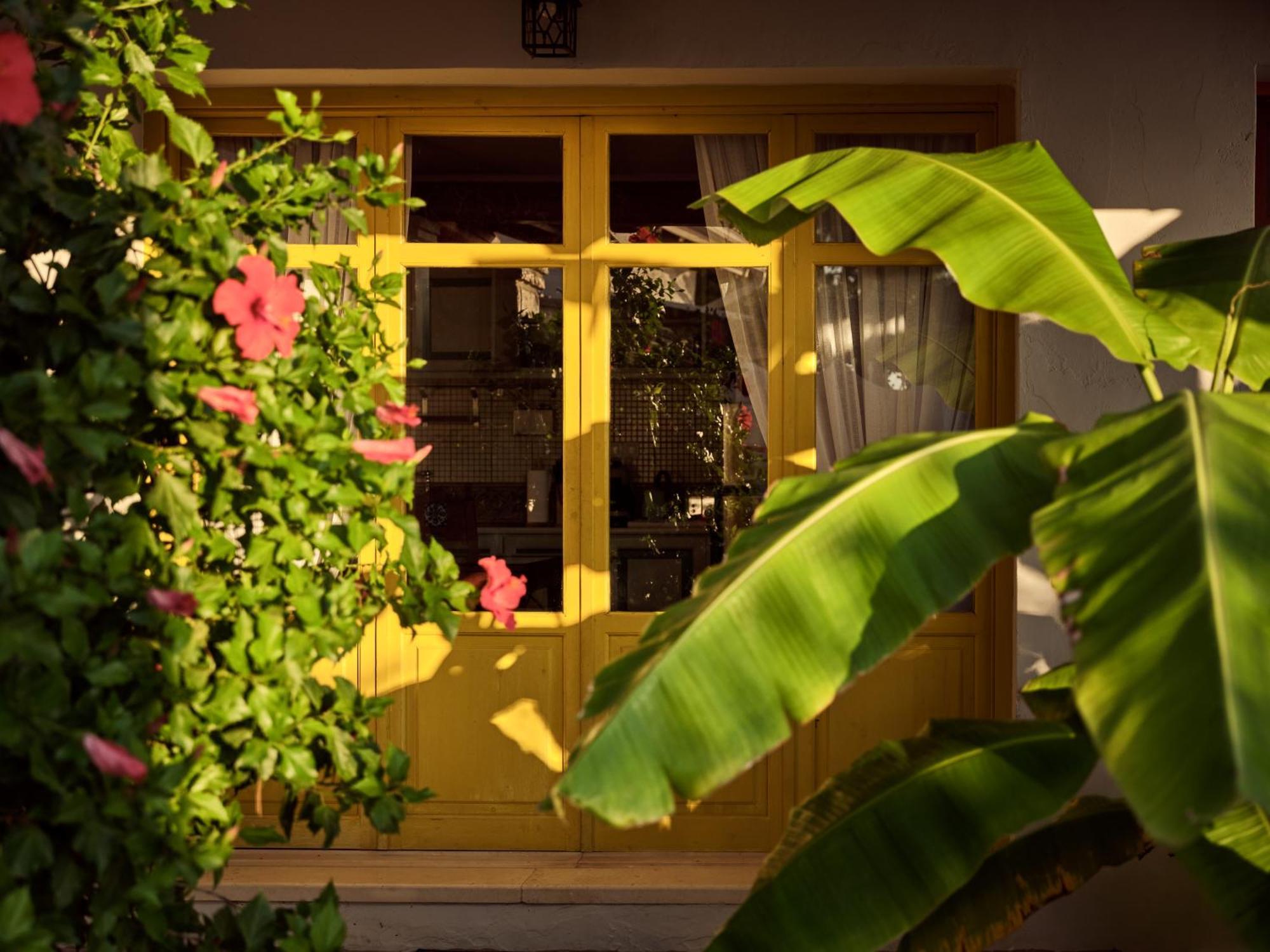Zakynthos Villas Vasilikí Екстериор снимка